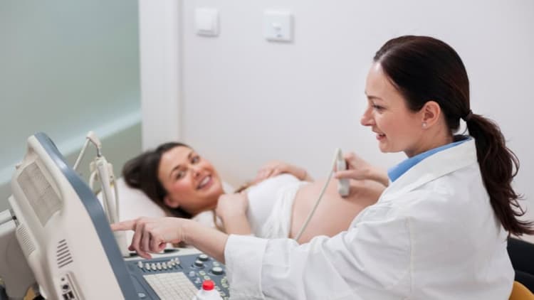 Picture of the author